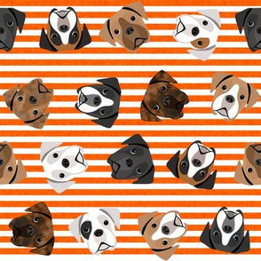 Boxer Dog Walking Bag with Poo Bag Dispenser & Treat Pocket. Many Colour Choices